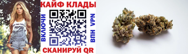 Виды наркотиков купить Пустошка Codein Мефедрон COCAIN ГАШ Бошки Шишки