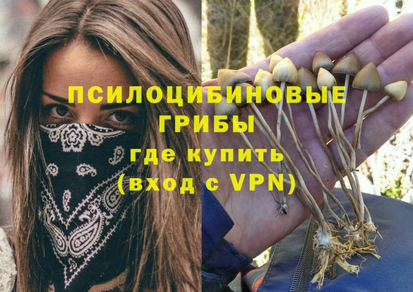 дживик Армянск
