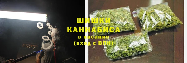 гашик Аркадак