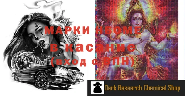 гашик Аркадак