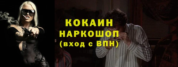гашик Аркадак