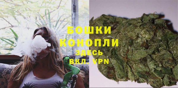 эйфоретик Арсеньев