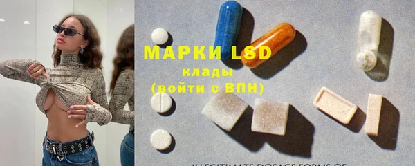 гашик Аркадак